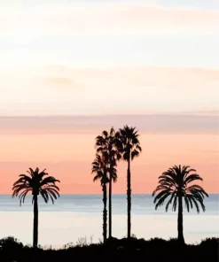 California Palm Trees Diamond Painting