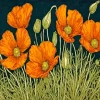 Orange California Poppies Diamond Painting