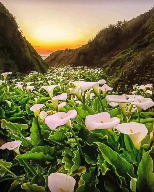 calla lily valley Diamond By Numbers Calla Lily Valley Diamond Painting