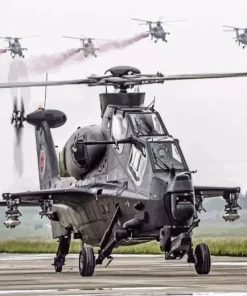 Chinese Caic WZ10 Diamond Painting