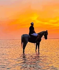 Horse Beach Diamond Painting