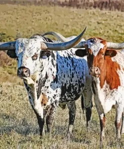 Longhorn Buffalo Diamond Painting