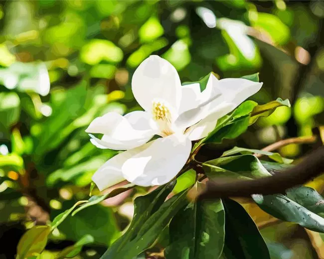 magnolia tree Diamond By Numbers Magnolia Tree Diamond Painting