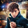 Newt Scamander Diamond Painting