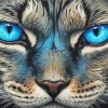 Blue Cat Eyes Diamond Painting