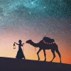 Camel And Girl Silhouette At Night Diamond Painting