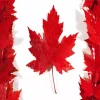 Canada Flag Diamond Painting