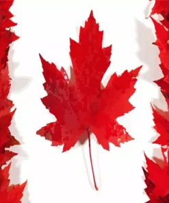 Canada Flag Diamond Painting