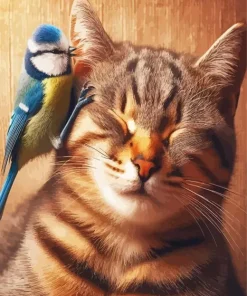 Cat And Bird Diamond Painting