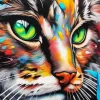 Colorful Cat Face Diamond Painting