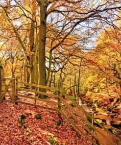 National Trust Padley Gorge Diamond Painting