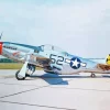 North American P51 Mustang Diamond Painting