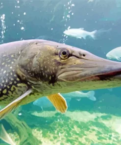 Northern Pike Fish Diamond Painting