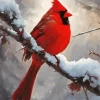 Red Cardinal In Snow Art Diamond Painting