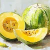 Still Life Cantaloupe Art Diamond Painting