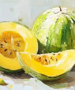 Still Life Cantaloupe Art Diamond Painting