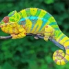 The Panther Chameleon Diamond Painting