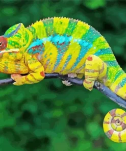 The Panther Chameleon Diamond Painting