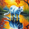 White Cat Reflection Diamond Painting