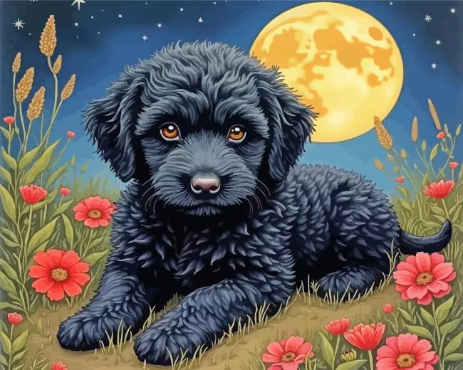 black cavoodle puppy Diamond Paintings Black Cavoodle Puppy Diamond Painting