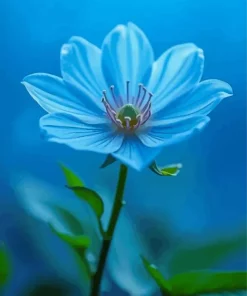 Blue Silent Princess Diamond Painting