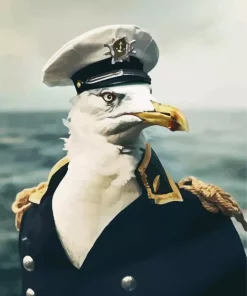Captain Seagull Diamond Painting