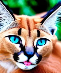 Caracal With Blue Eyes Diamond Painting