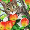 Cat And Apples Diamond Painting