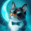 Cat And Moon Diamond Painting