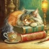 Cat Sleeping On Books Diamond Painting