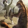 Cats Fighting Diamond Painting