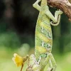 Chameleon Hanging Diamond Painting