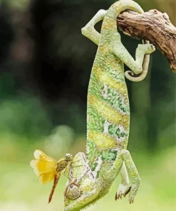 Chameleon Hanging Diamond Painting
