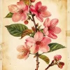 Cherry Blossom Branch Diamond Painting