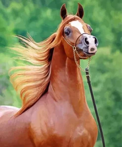 Chestnut Arabian Horse Diamond Painting