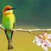 Chestnut Headed Bee Eater On Branch Diamond Painting