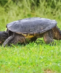 Common Snapping Turtle Diamond Painting