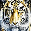 Cool Gold Tiger Diamond Painting