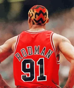 Dennis Rodman Chicago Bulls Diamond Painting
