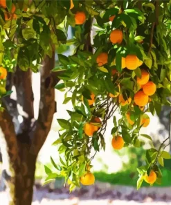 Green Leaves Orange Tree Diamond Painting