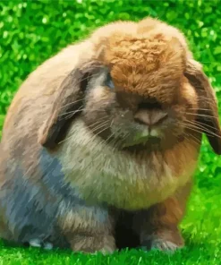 Miniature Lop Bunny Diamond Painting