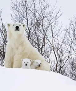 Mom And Baby Polar Bear Diamond Painting