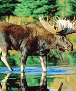 Moose In River Diamond Painting
