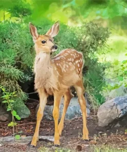 Mule Deer Animal Diamond Painting