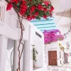 Mykonos Flowers Diamond Painting