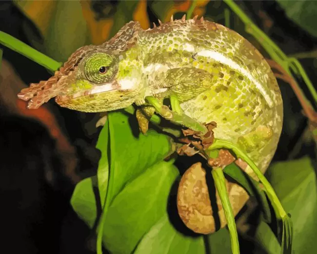 nadzikambia Diamond by Numbers Nadzikambia Diamond Painting