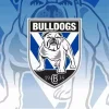Nrl Bulldogs Logo Diamond Painting