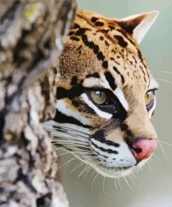 Ocelot Wild Cat Diamond Painting