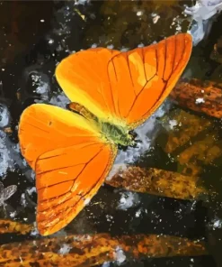 Orange Butterfly Diamond Painting