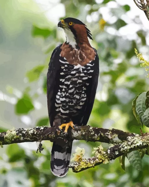 ornate hawk eagle Diamond By Numbers Ornate Hawk Eagle Diamond Painting